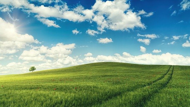 「教育部補助合格教師赴新南向友好國家學校任教試辦要點」第四點、第五點及其名稱於111年5月30日修正發布