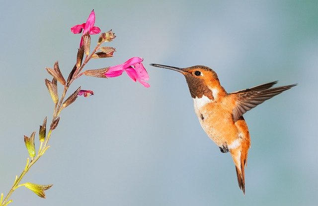 桃園市政府文化局辦理「2025桃園市公共藝術美感紮根教育推廣計畫」