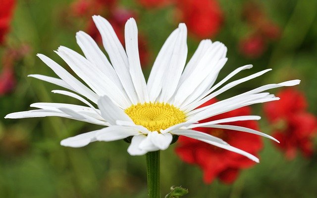 教育大愛菁師獎評審委員會辦理111年第十一屆教育大愛「菁師獎」遴選